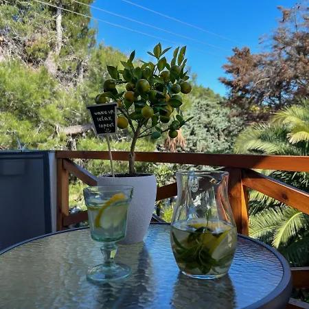 Joseph Village Daire